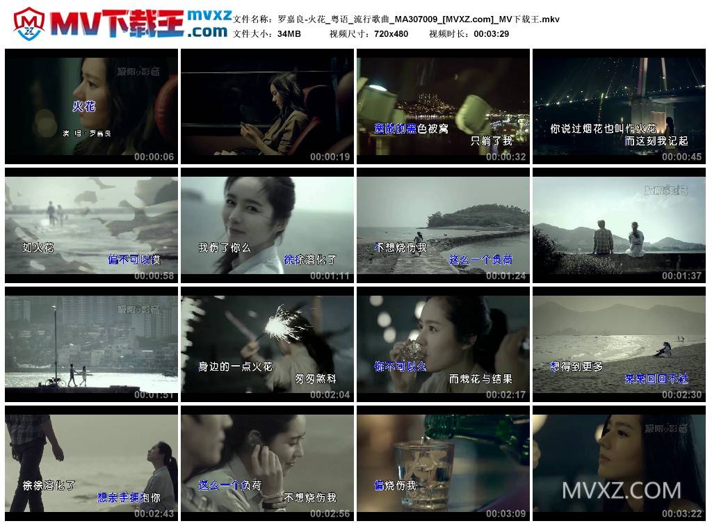 罗嘉良-火花_粤语_流行歌曲_MA307009
